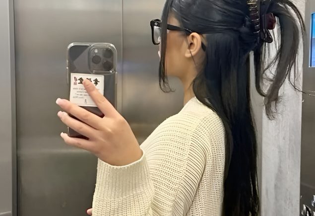 Claw Clip Updo with Loose Strands and Soft Texture